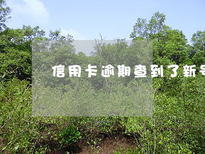 信用卡逾期查到了新号码 信用卡逾期查到了新号码