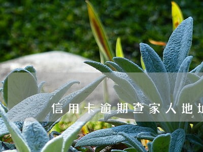 信用卡逾期查家人地址 信用卡逾期查家人地址