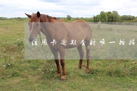 信用卡逾期查封唯一按揭房 信用卡逾期查封唯一按揭房