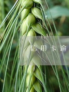 信用卡逾期查封房产吗 信用卡逾期查封房产吗