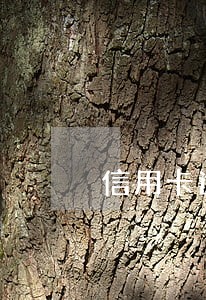 信用卡逾期查封拍卖房产证 信用卡逾期查封拍卖房产证