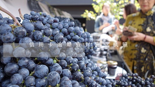 信用卡逾期查封营业执照 信用卡逾期查封营业执照