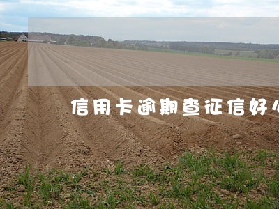 信用卡逾期查征信好么 信用卡逾期查征信好么