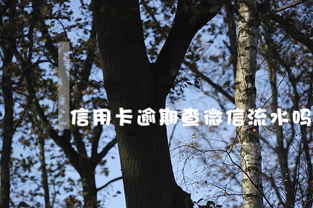 信用卡逾期查微信流水吗 信用卡逾期查微信流水吗