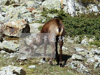 信用卡逾期查我通讯录
