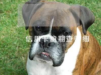 信用卡逾期查明细 信用卡逾期查明细