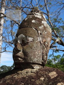 信用卡逾期查社保吗 信用卡逾期查社保吗