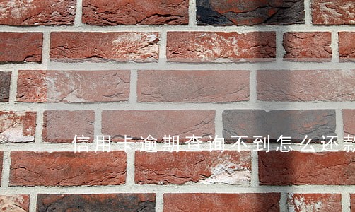 信用卡逾期查询不到怎么还款 信用卡逾期查询不到怎么还款
