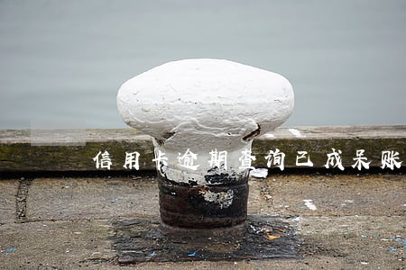 信用卡逾期查询已成呆账怎么弄 信用卡逾期查询已成呆账怎么弄