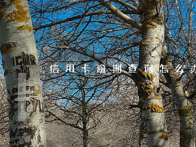 信用卡逾期查询怎么办 信用卡逾期查询怎么办