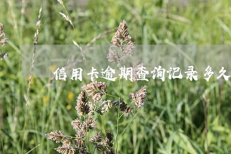 信用卡逾期查询记录多久清除