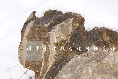 信用卡逾期查询详细查询