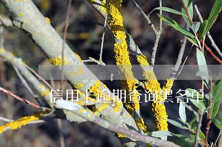 信用卡逾期查询黑名单 信用卡逾期查询黑名单