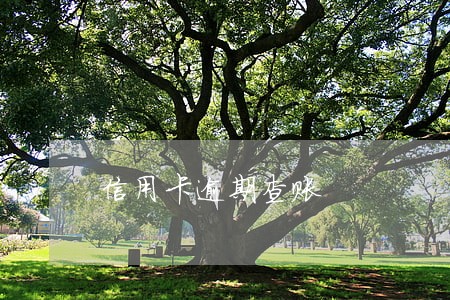 信用卡逾期查账