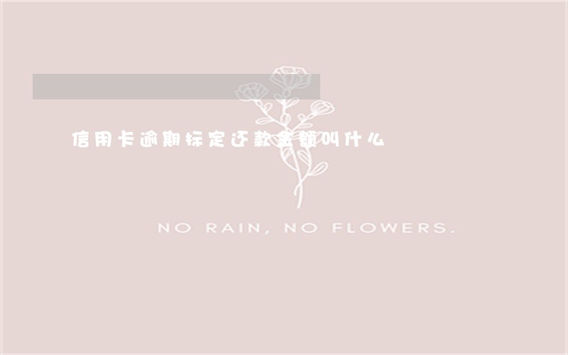 信用卡逾期标定还款金额叫什么 信用卡逾期标定还款金额叫什么