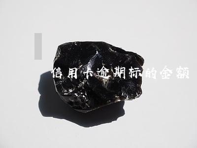 信用卡逾期标的金额 信用卡逾期标的金额