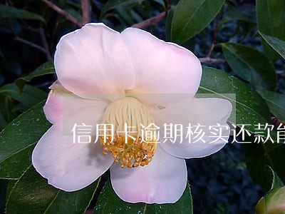 信用卡逾期核实还款能力 信用卡逾期核实还款能力
