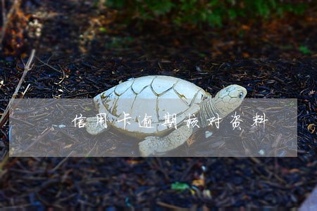 信用卡逾期核对资料 信用卡逾期核对资料