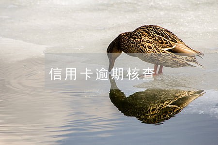 信用卡逾期核查 信用卡逾期核查