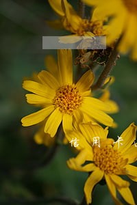 信用卡逾期核销卡 信用卡逾期核销卡
