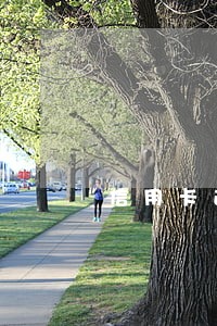 信用卡逾期核销后还款只还本金 信用卡逾期核销后还款只还本金