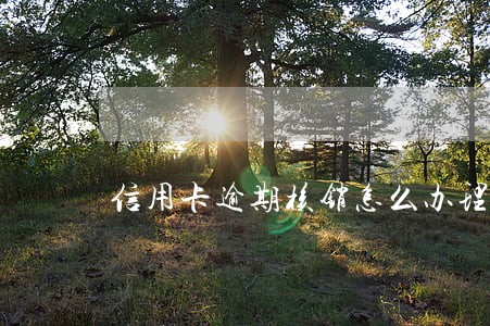信用卡逾期核销怎么办理 信用卡逾期核销怎么办理