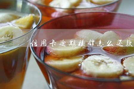 信用卡逾期核销怎么还款 信用卡逾期核销怎么还款