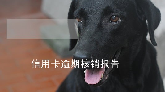 信用卡逾期核销报告