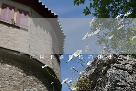 信用卡逾期核销还要还吗 信用卡逾期核销还要还吗