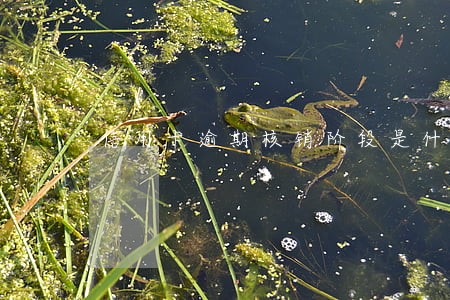 信用卡逾期核销阶段是什么意思 信用卡逾期核销阶段是什么意思