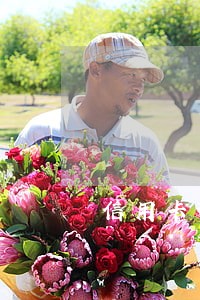 信用卡逾期根本无能力还咋办