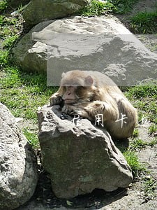 信用卡逾期案件下发当地分行 信用卡逾期案件下发当地分行
