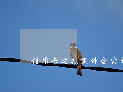 信用卡逾期案件会公开审理吗 信用卡逾期案件会公开审理吗