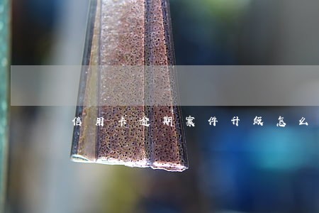 信用卡逾期案件升级怎么办 信用卡逾期案件升级怎么办