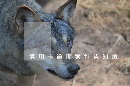 信用卡逾期案件告知函 信用卡逾期案件告知函
