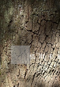 信用卡逾期案件处理中心电话 信用卡逾期案件处理中心电话