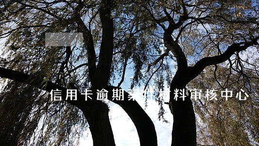 信用卡逾期案件材料审核中心 信用卡逾期案件材料审核中心