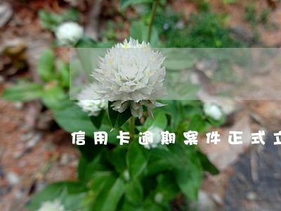 信用卡逾期案件正式立案