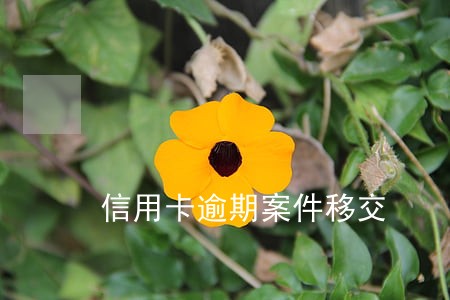 信用卡逾期案件移交 信用卡逾期案件移交