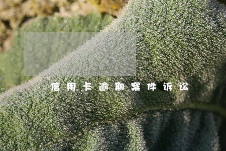 信用卡逾期案件诉讼 信用卡逾期案件诉讼