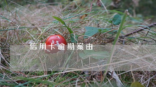 信用卡逾期案由 信用卡逾期案由