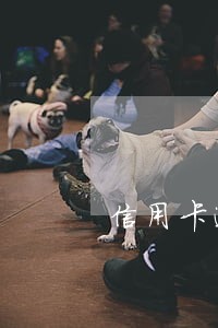 信用卡逾期档案移交是什么意思