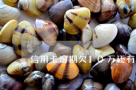 信用卡逾期欠10万还有出头吗 信用卡逾期欠10万还有出头吗