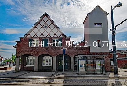 信用卡逾期欠20万自救方法 信用卡逾期欠20万自救方法