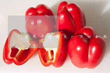 信用卡逾期欠5万的会拘留么