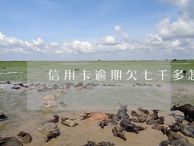 信用卡逾期欠七千多怎么办 信用卡逾期欠七千多怎么办