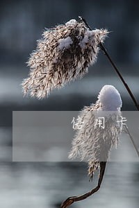 信用卡逾期欠了不到2万