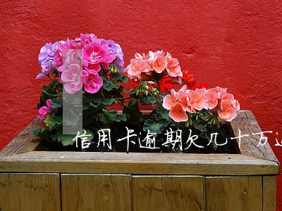 信用卡逾期欠几十万还不起 信用卡逾期欠几十万还不起