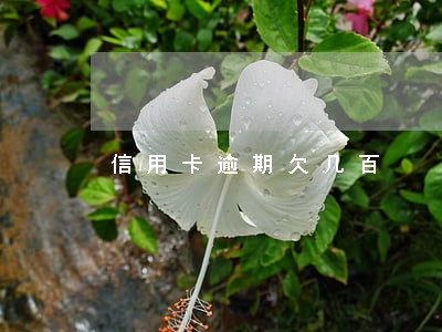 信用卡逾期欠几百 信用卡逾期欠几百