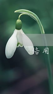 信用卡逾期欠多少钱会上门催收